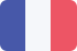 French Flag